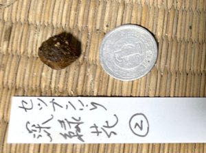 画像2: セツブンソウ・深緑花-2