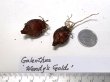 画像2: ガランサス・「Wendy`s gold」