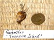 画像2: ガランサス・「Treasure Island」(トレーサー・アイランド)
